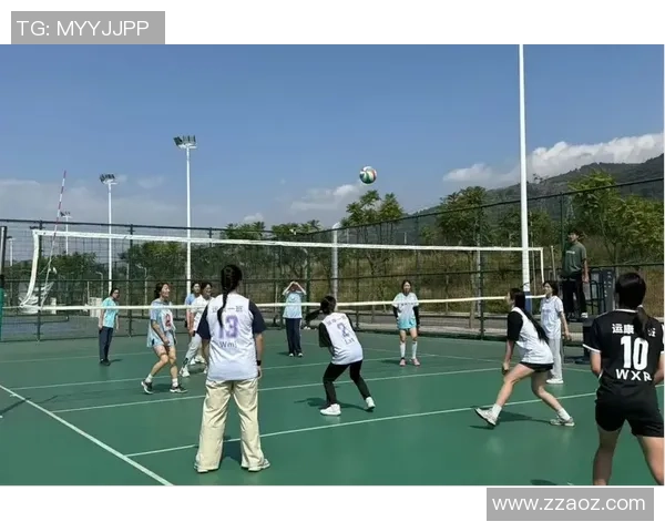 杭州排球队的拼搏精神与团结力量探秘排球运动的魅力与发展